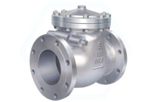Non Return Flange End Valves Exporters in India