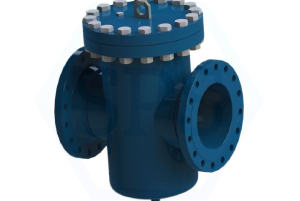 Basket Type Strainer Valves Manufacturers Exporters Stockist Supplier in India