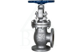 Angle Globe Flange End Valves Exporters in India
