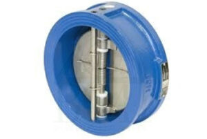 Dual Plate Non Return Flange End Valves Exporters in India